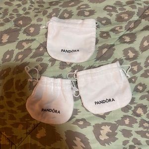 Pandora bags good for gifts